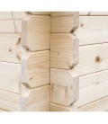 Abri de jardin en bois mono pente 9m² + auvent 2x3m