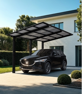 Carport simple Linea Ximax 110