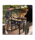 Plancha Blackstone 28 pouces sur pieds
