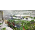 Serre de jardin en verre Rhodo III KGT 5,15m² aluminium avec vitrage de 6mm