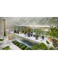 Serre de jardin en verre Rhodo III KGT 5,15m² aluminium avec vitrage de 6mm