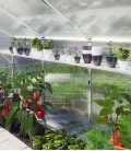 Serre de jardin 2,56 m² Linea 1 KGT aluminium et polycarbonate