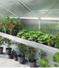 Serre de jardin 2,56 m² Linea 1 KGT aluminium et polycarbonate