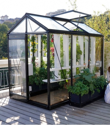 Serre de jardin Picollo ACD 3.56m² - 160 x 225 CM en Aluminium naturel, vitrage verre