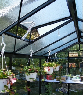 Serre parois droites R205H ACD 8,61m² - 232 x 371cm