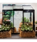 Glass garden greenhouse Miccolo M03 ACD 1.85m²
