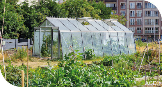 serre oblique par ACD le must have