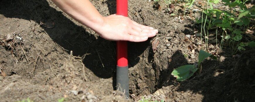 Bien Planter un Arbuste en Conteneur