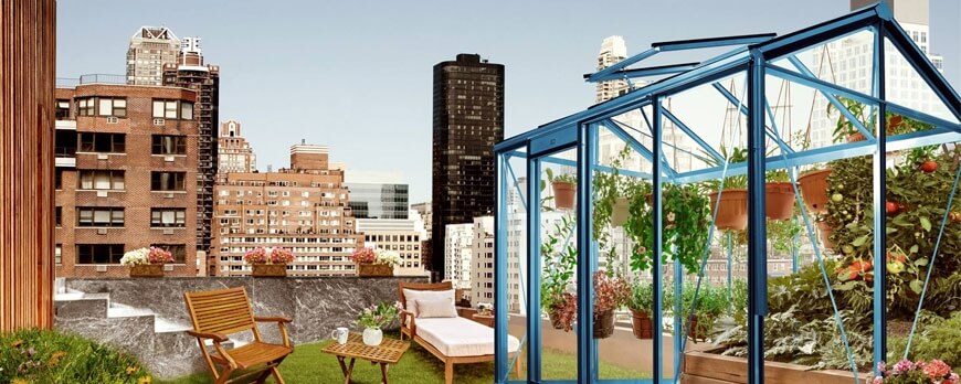 Mini serre de jardin : La solution astucieuse en ville